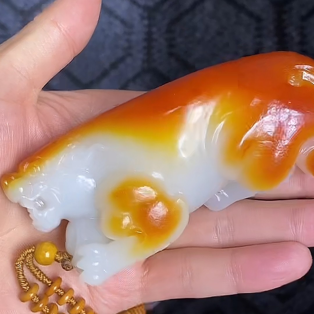 石包多样性拍一发一12月6日 A7