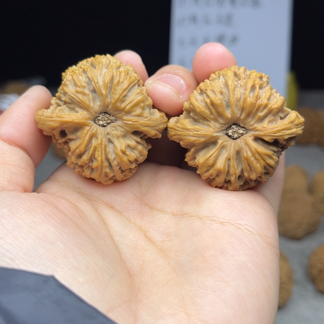 紫***呈把件文玩核桃涿鹿南疆石