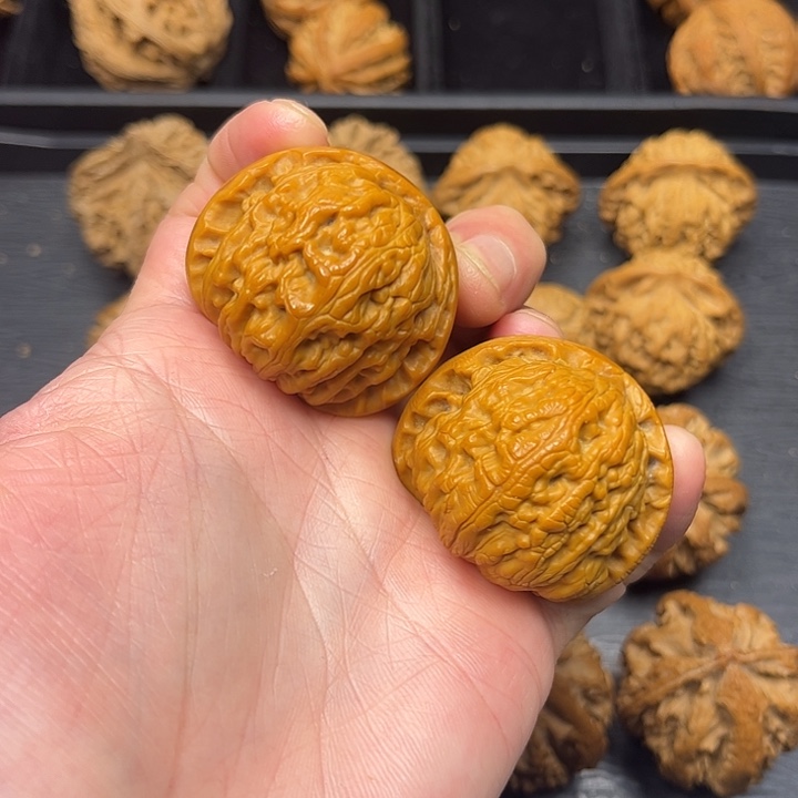 核桃秦岭山脉中段怒江与澜沧江