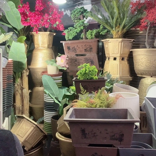 复合盆景制作方法