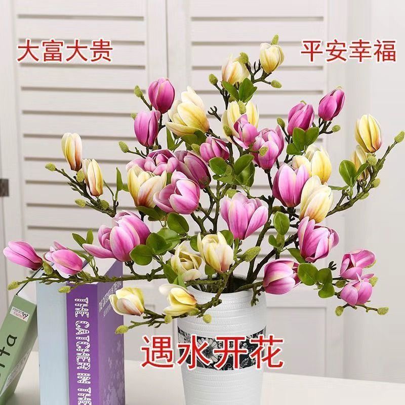 水培玉兰花鲜切枝带花苞室内好养四季开花绿植花卉G
