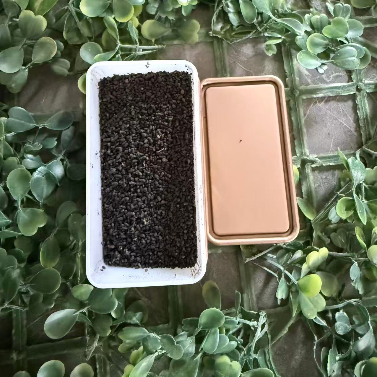 雨腾古茶 无字版“S精”老吴喝顶J核J能30g/罐（12月6）