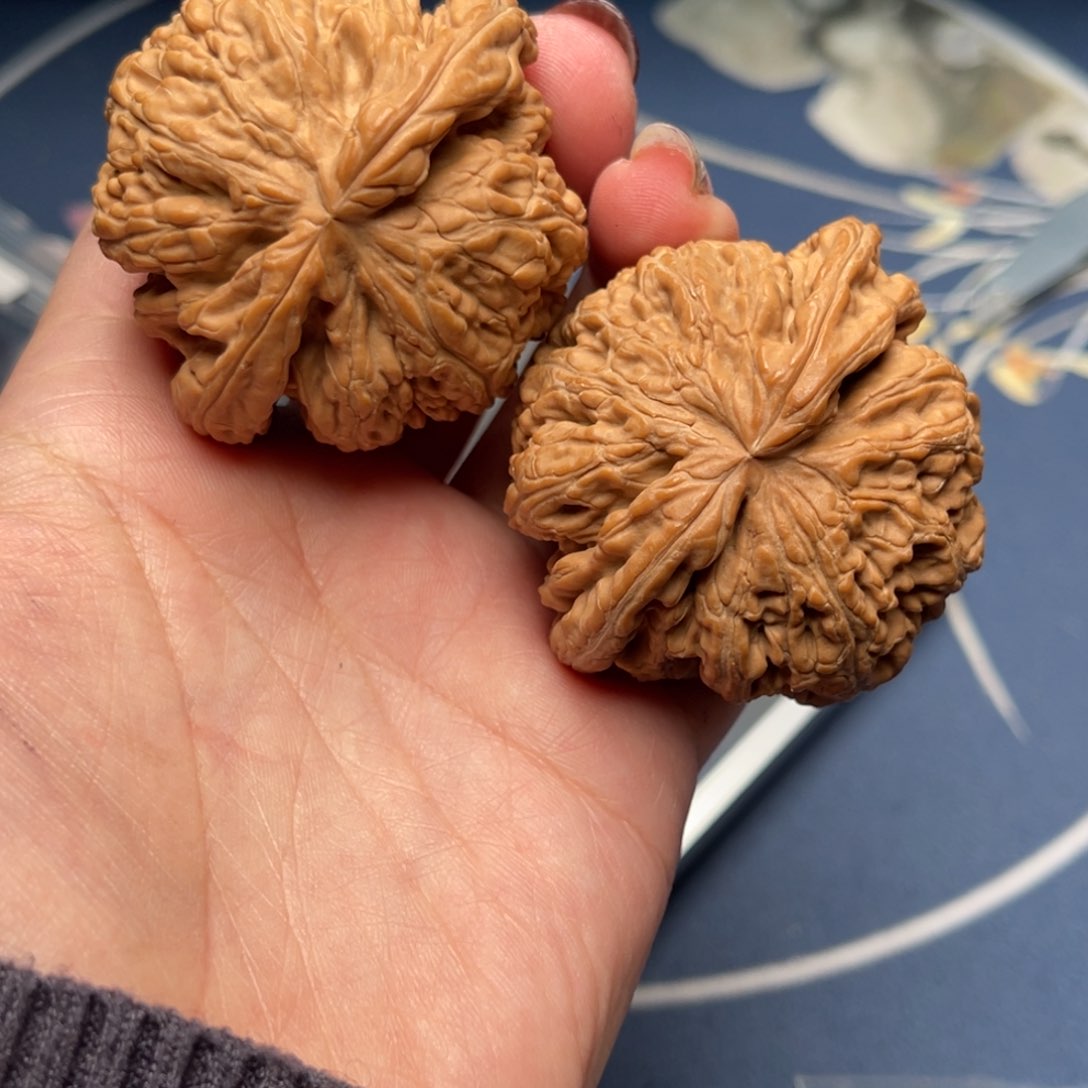 文玩核桃把件粗筋50