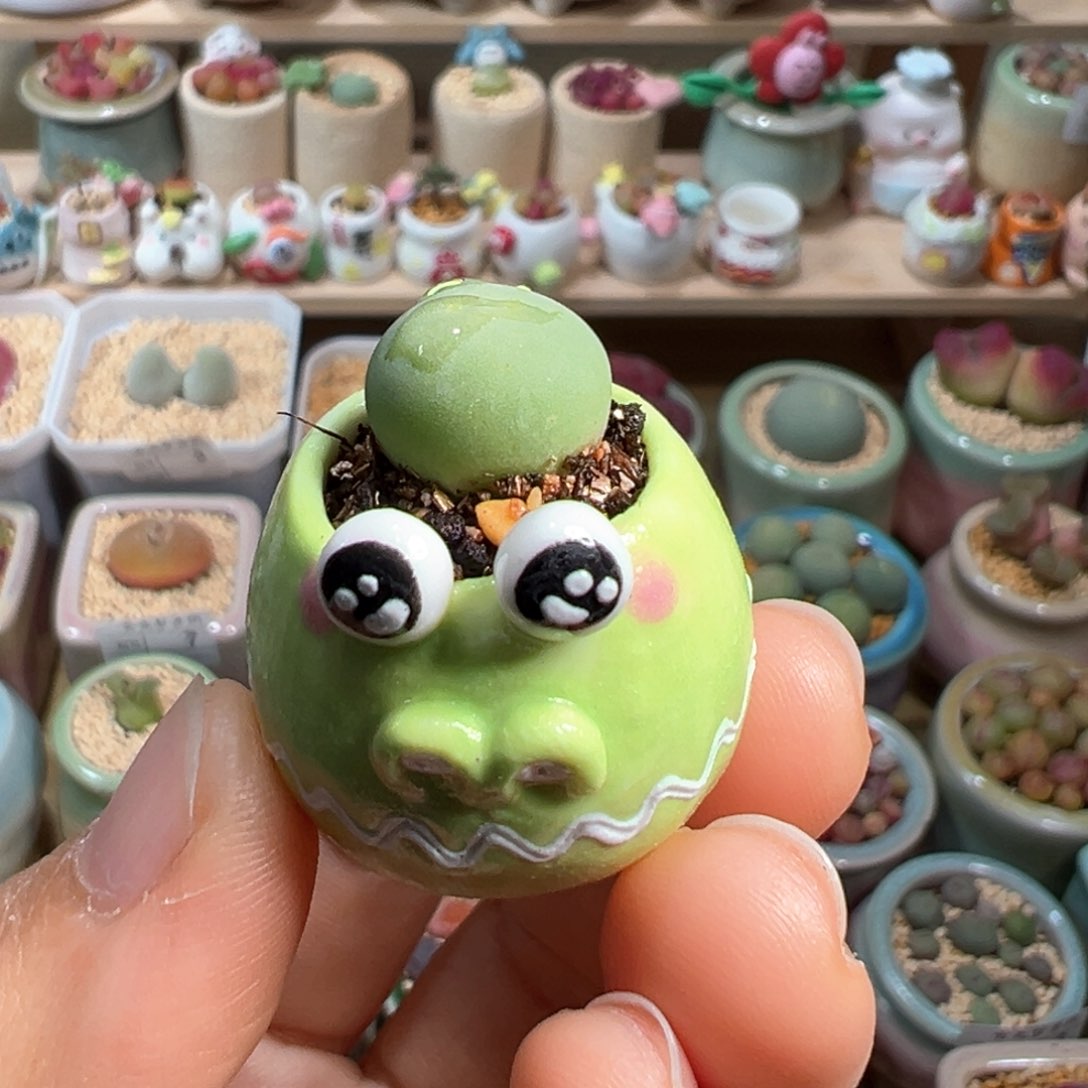 多肉植物9号拇指盆