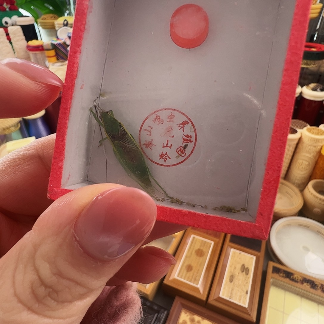 一***那哈哈哈段须绿金钟一个