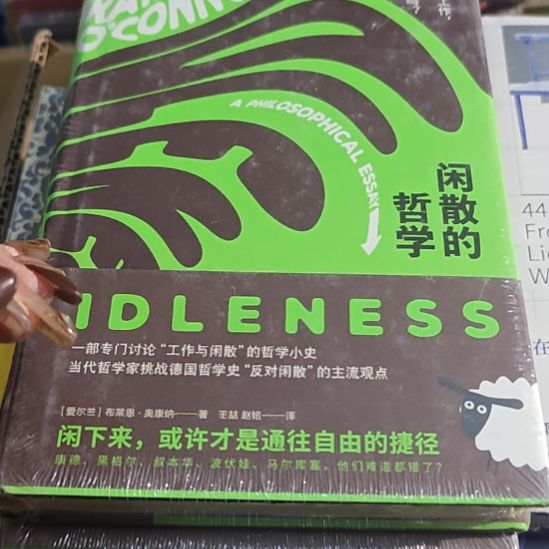 闲散的哲学精装库存书有氧化介意勿拍