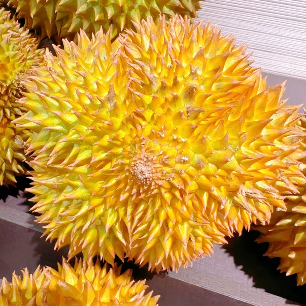 新鲜金枕新鲜榴莲(36.8/斤)核小金枕泰国