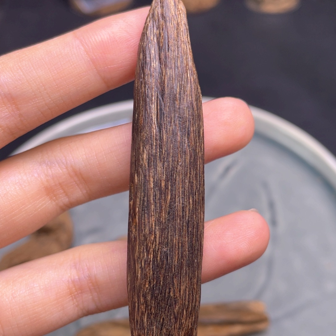 三***石香榧木10克海南大山老海南糖结树心油