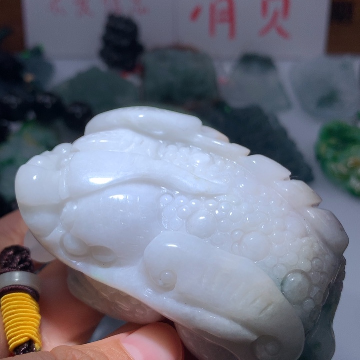 翡翠颈饰未镶嵌保真天然A货翡翠