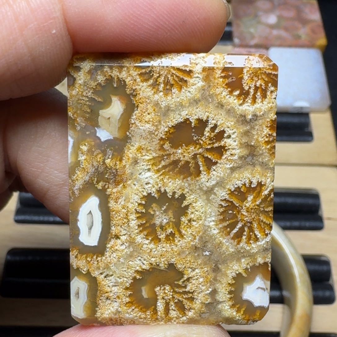 硅化玉纯天然色有机玉石未镶嵌