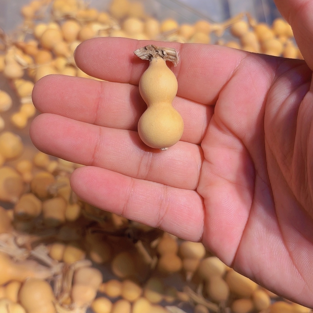 元***杰哈哈哈哈哈哈哈哈哈哈