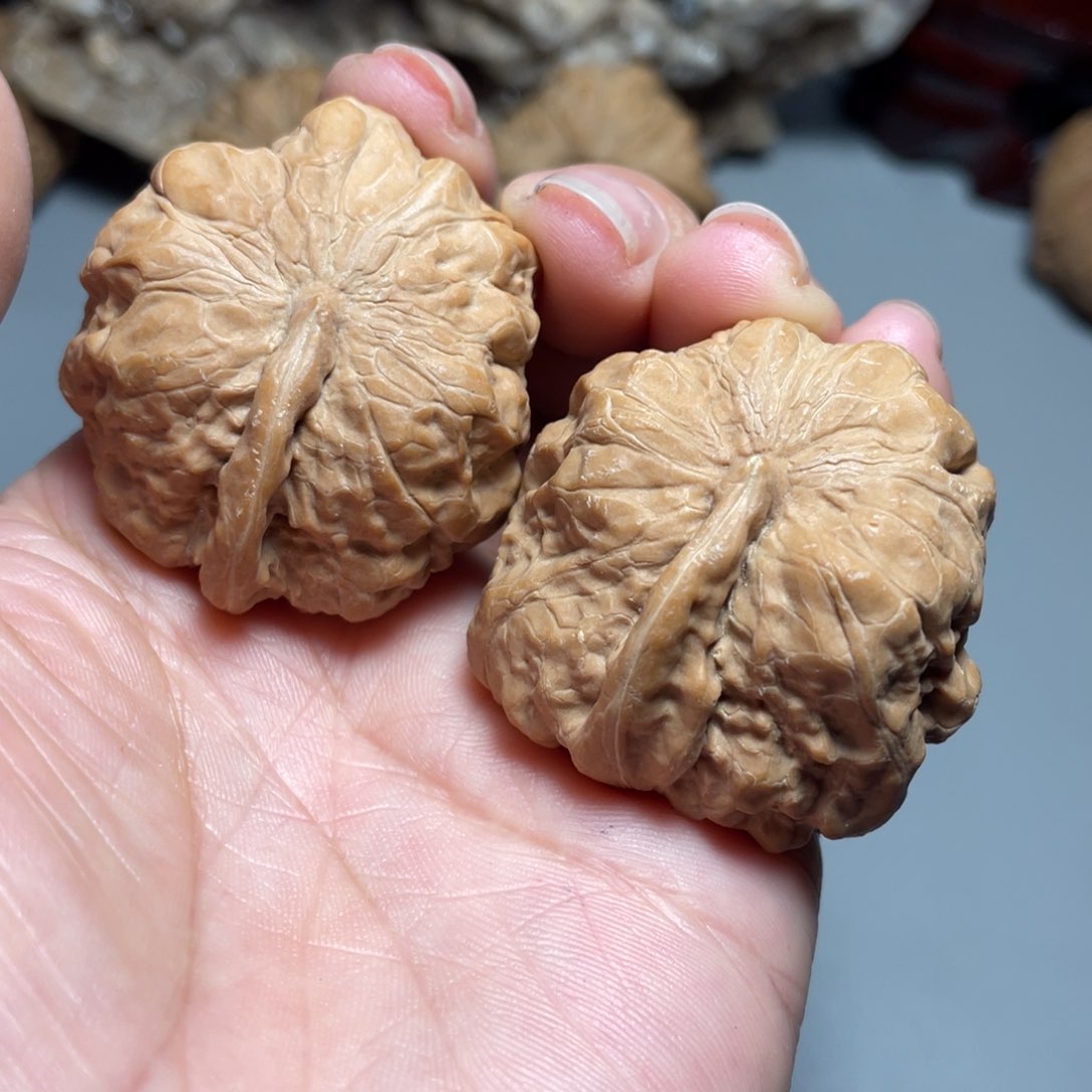 核桃手串/手链精品蛤蟆头一帆风顺