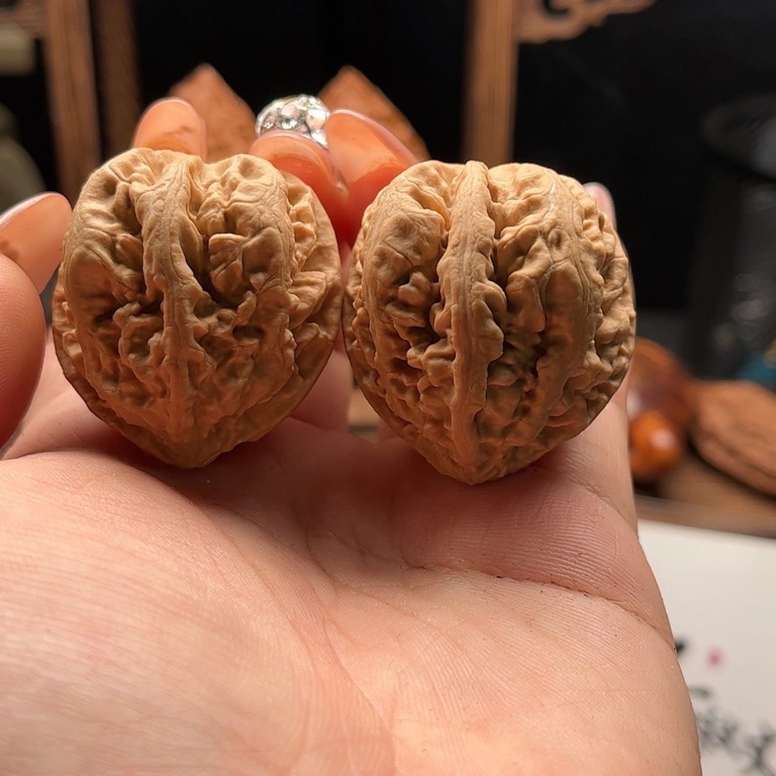 文玩核桃把件H****.关东木子家楸大胖65