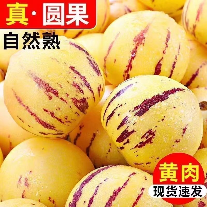 云南石林人参果黄肉、低糖【2斤14个左右云南省