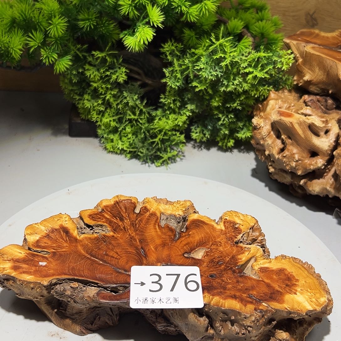 醉***林香榧木火琉璃……火琉璃