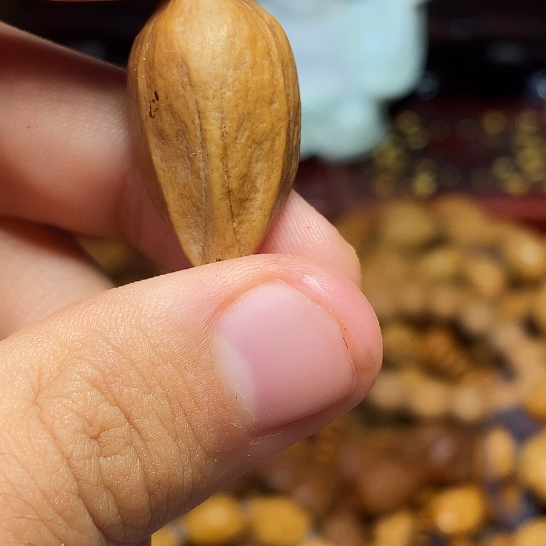 橄榄核手串/手链nbjjhhjhhhhhhjjjj