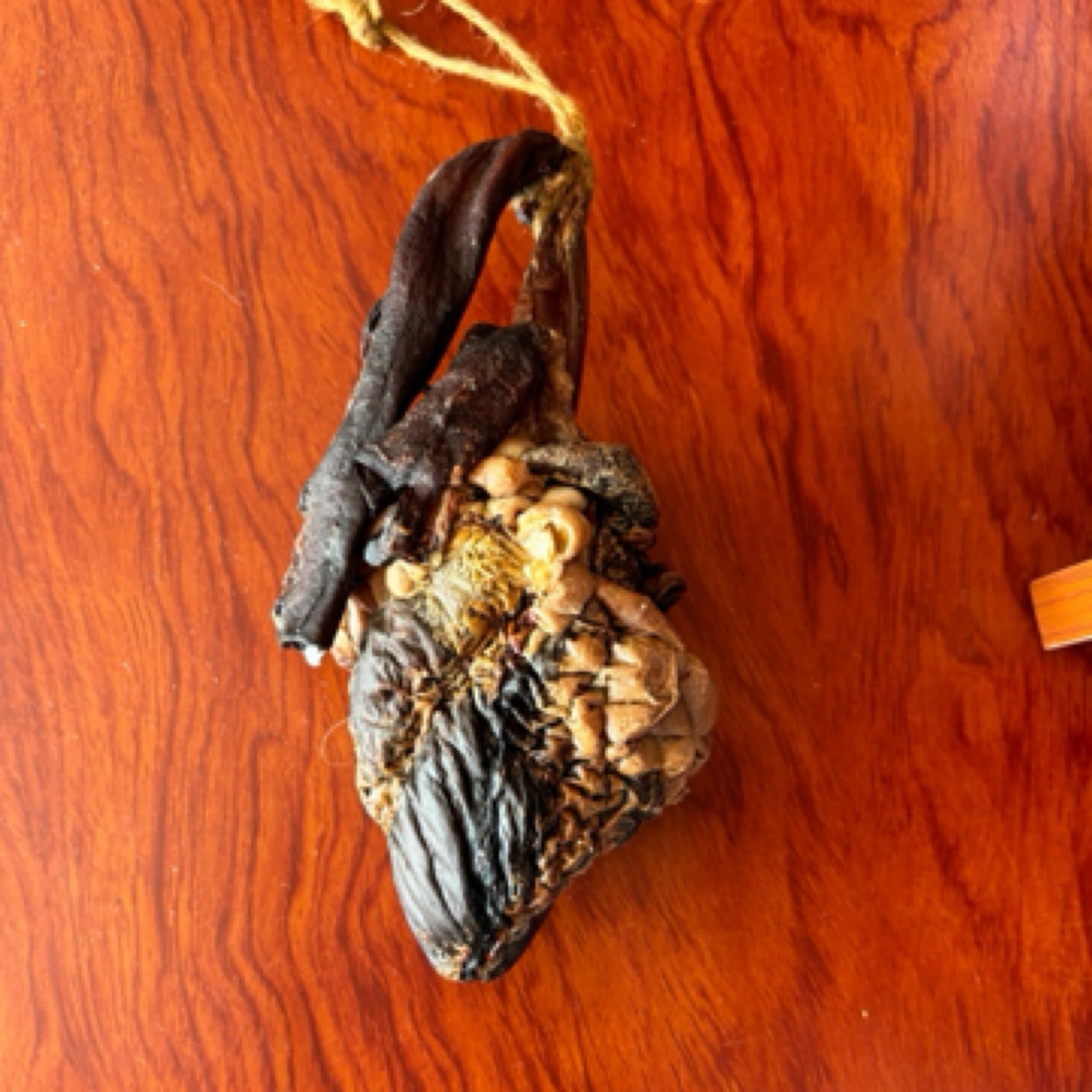 东北鹿乡干鹿心原产地足干磨粉方便食用