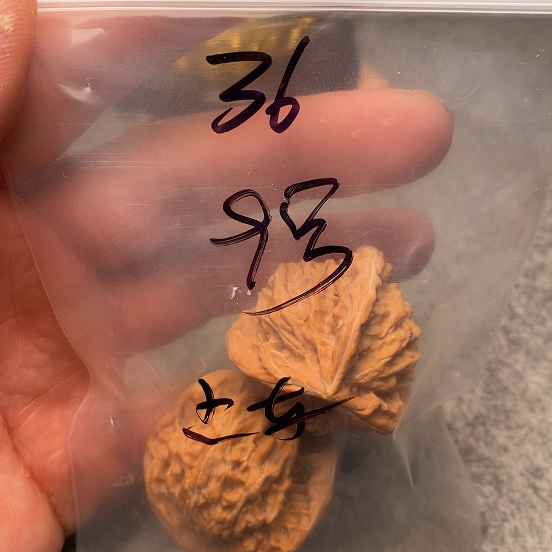 文玩核桃把件三棱