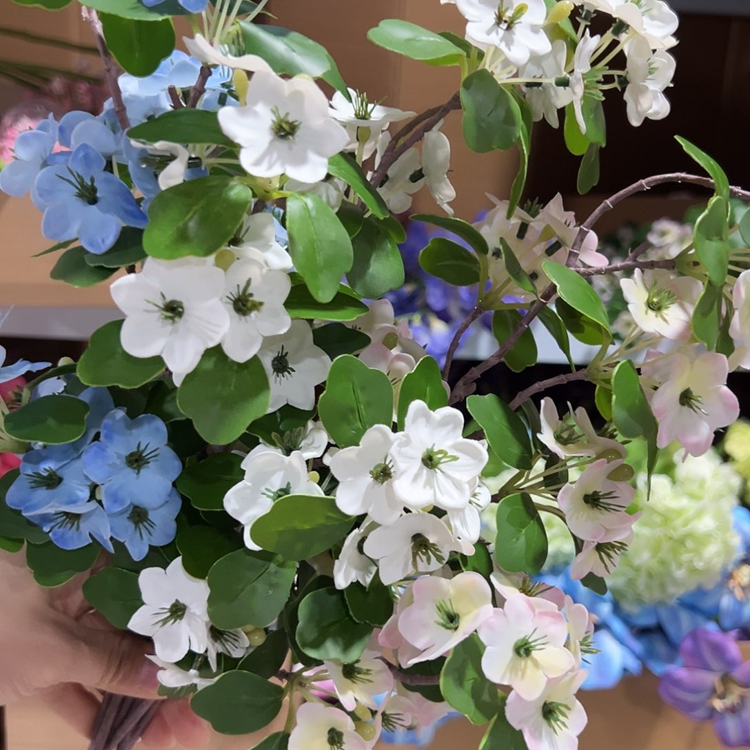 3枝混色天鹅绒。     