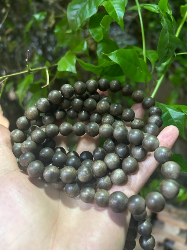 【土特产菇22】净含量78g