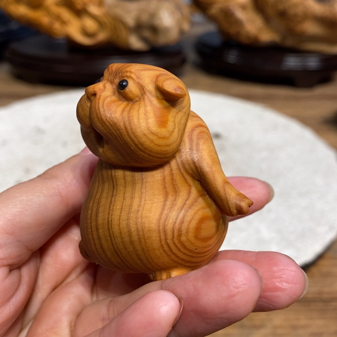 柏木（崖柏）崖柏，