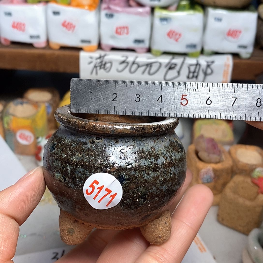 红陶拍5送一个小