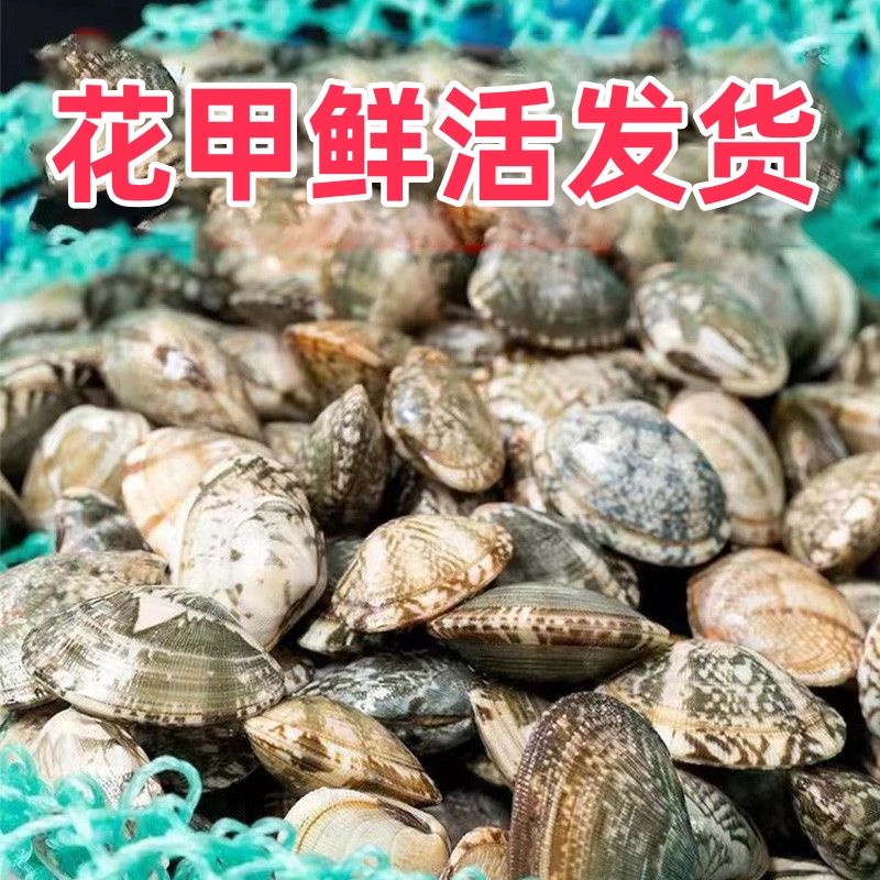 【鲜活】鲜活花甲500克