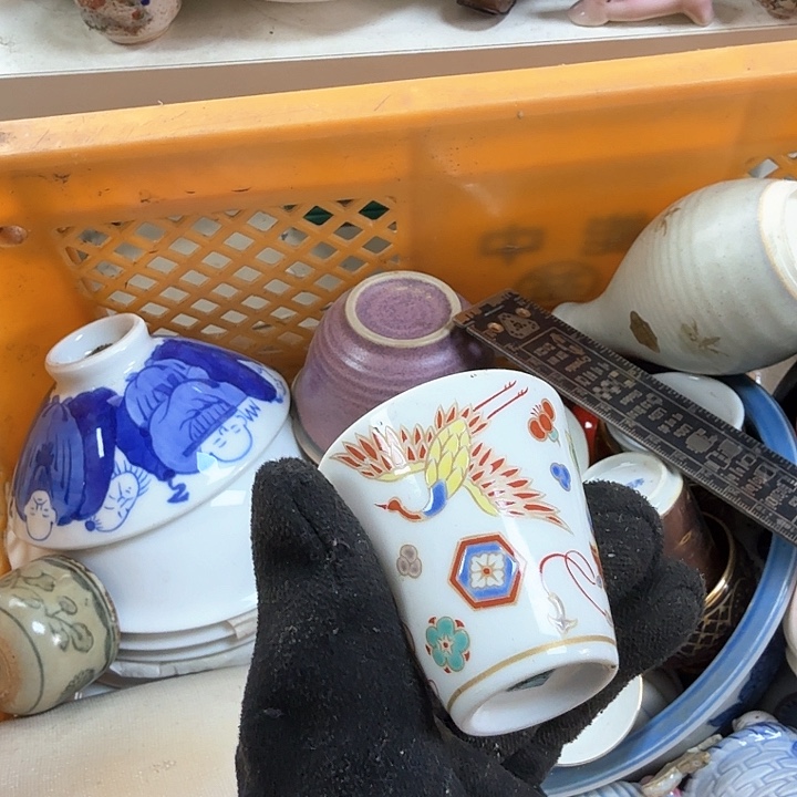 碟开播啦…开播啦