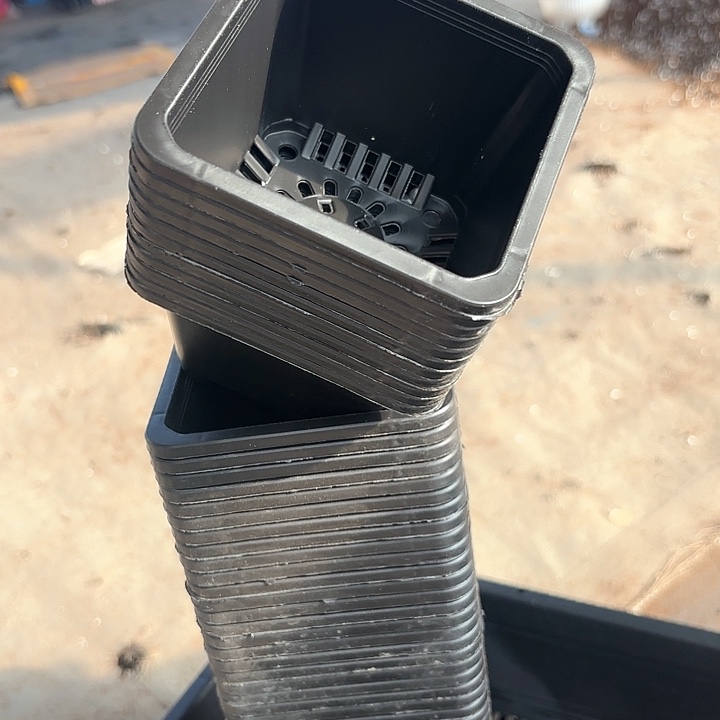 100黑方盆9公分高7公分30个