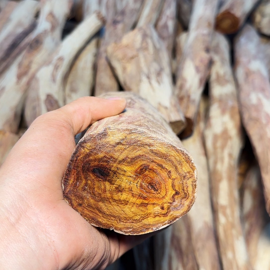 黄花梨/降香黄檀《****》