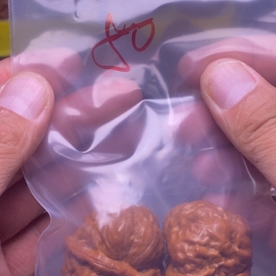 【闪购商品】吊坠文玩核桃城**人