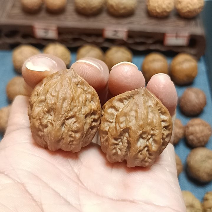 文玩核桃把件核桃