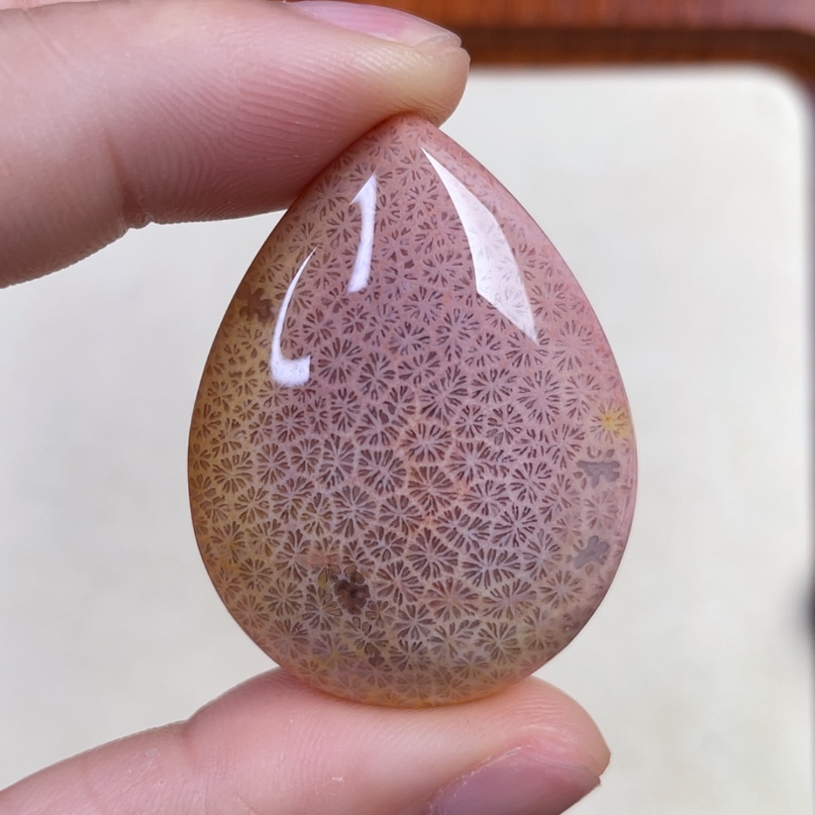 【闪购商品】硅化玉吊坠(赠链)未镶嵌