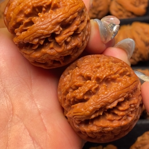 文玩核桃把件秦嶺山脈核桃