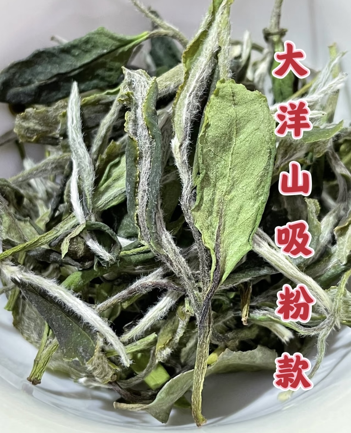 福鼎磻溪大洋山.2025花香牡丹 花果香浓郁鲜爽清甜