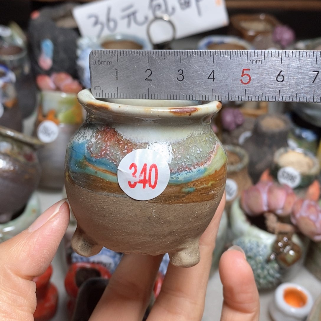 多肉花盆拍5送一个小礼物