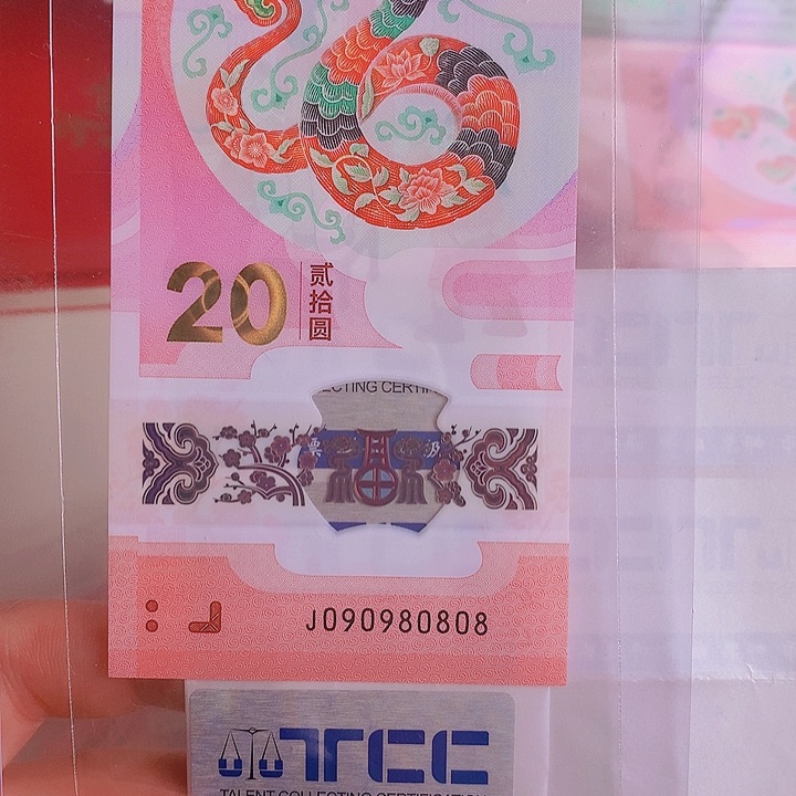 塑料2025蛇钞090980808