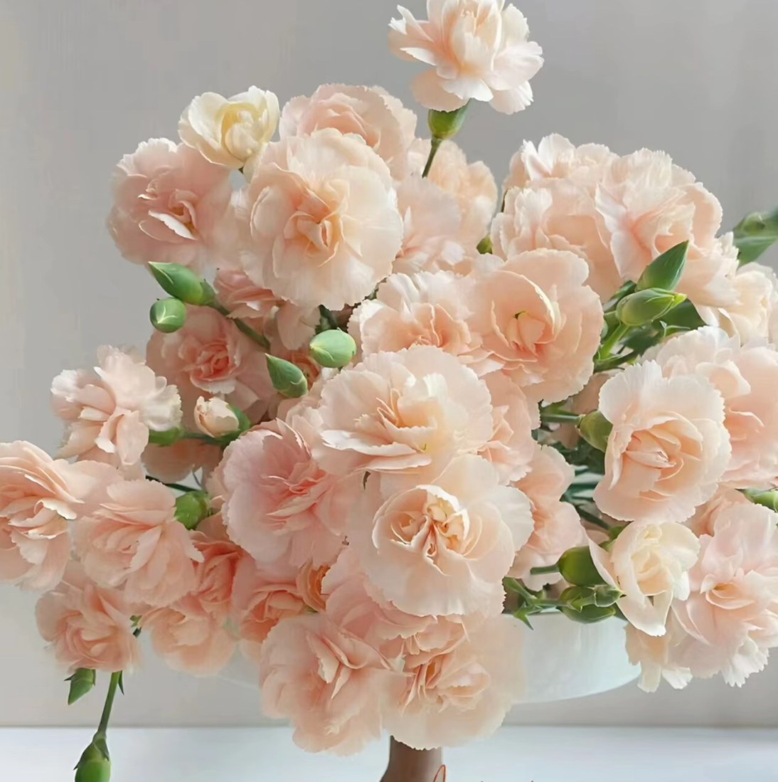 【多头莫言康乃馨】云南玫瑰花鲜切花一单普快2单升顺丰3单送配草