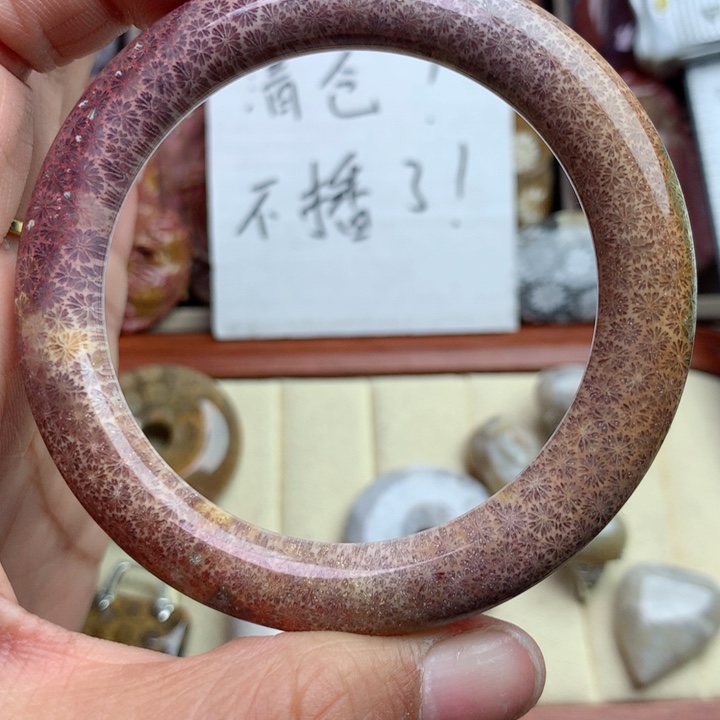 硅化珊瑚（珊瑚玉）颈饰未镶嵌?****?