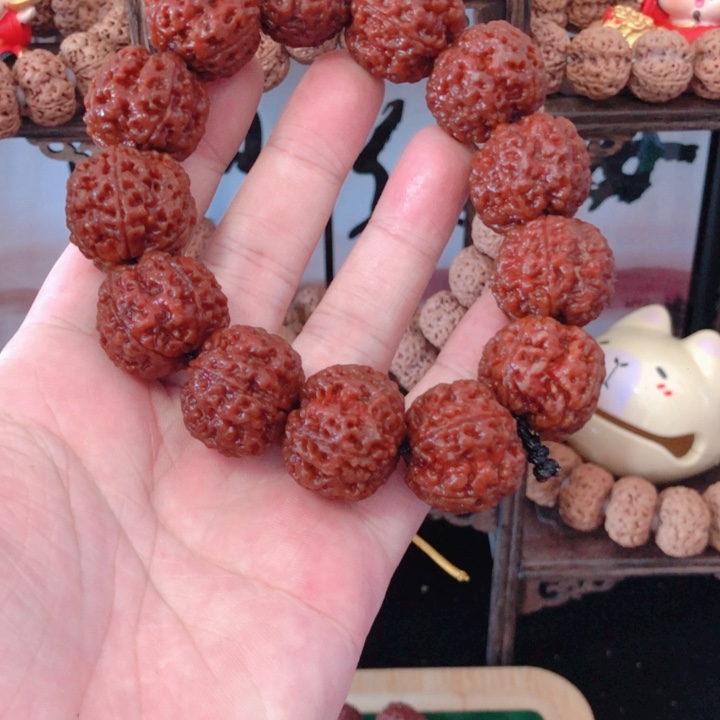 手串金刚菩提25五星蜂王