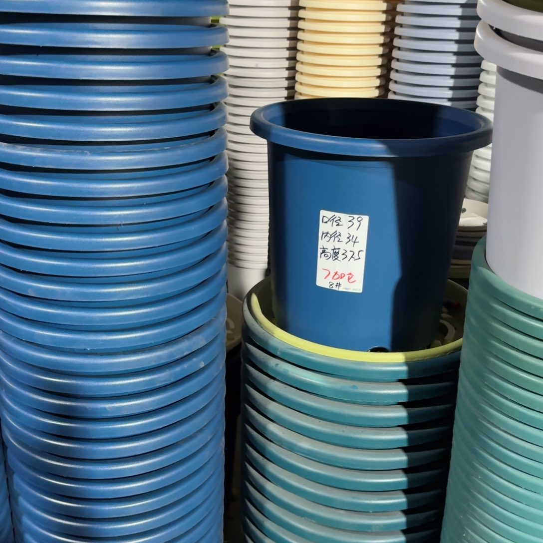 360的托盘墨绿色5个