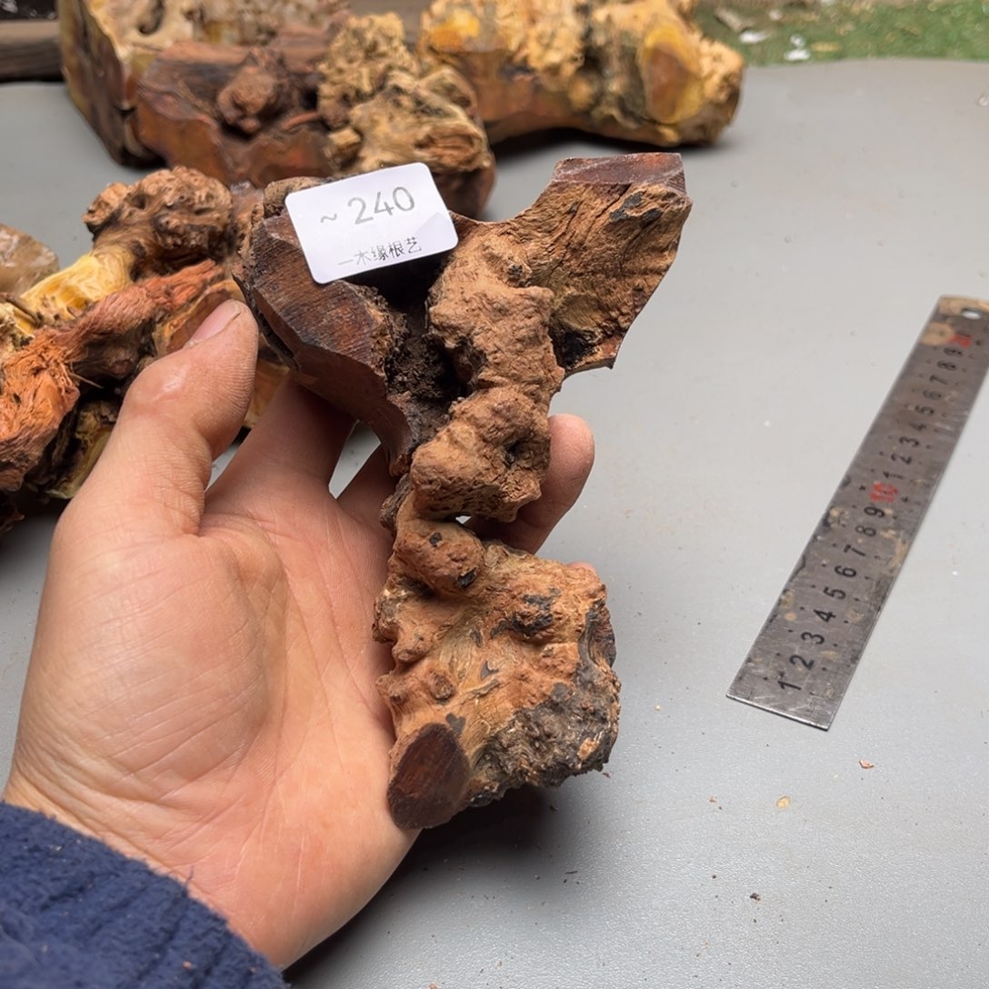 m***年无花朵000000000000240