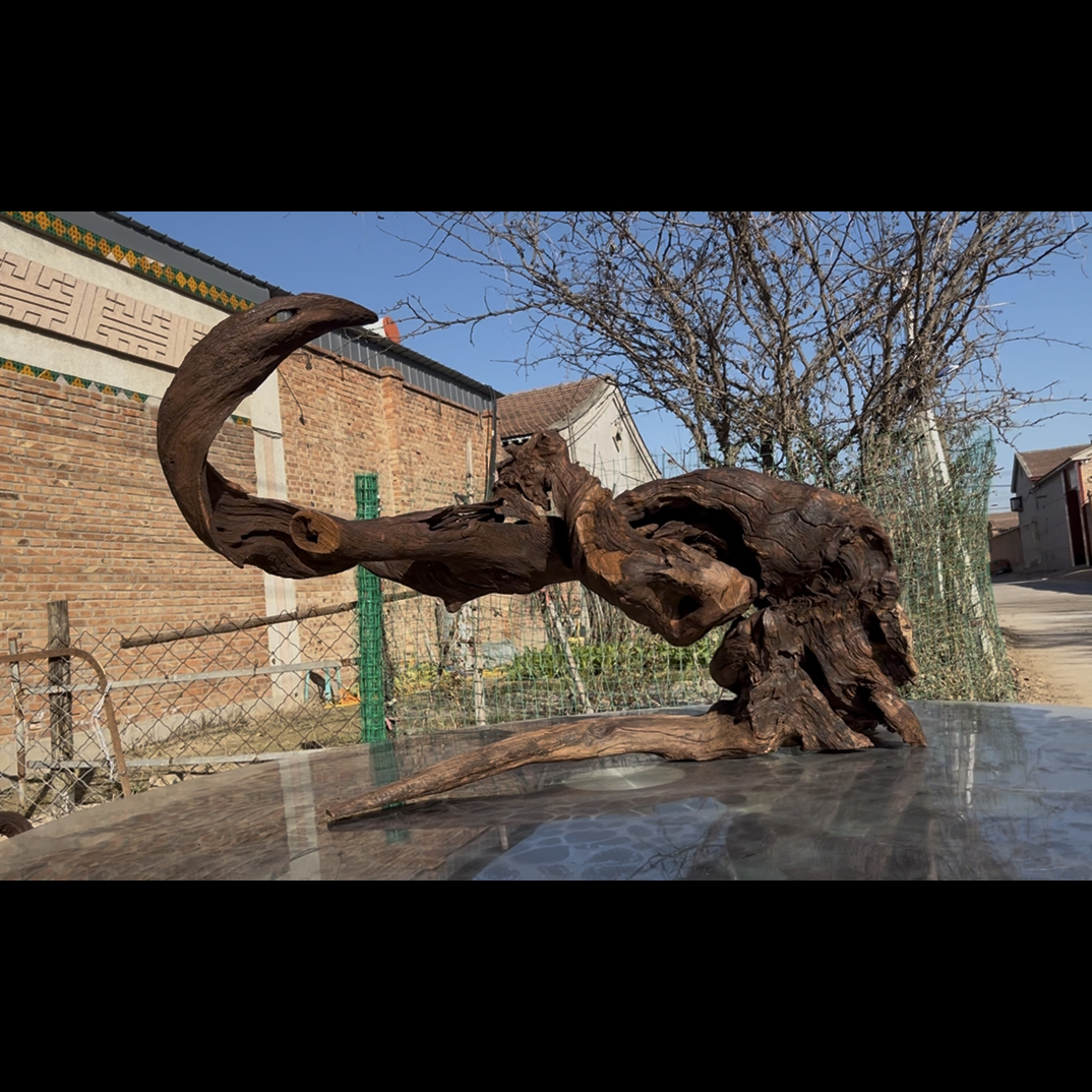 尺寸：105✖️35✖️59，鱼缸造景沉木摆件，紫柚木，秒沉水，包煮，南美缸