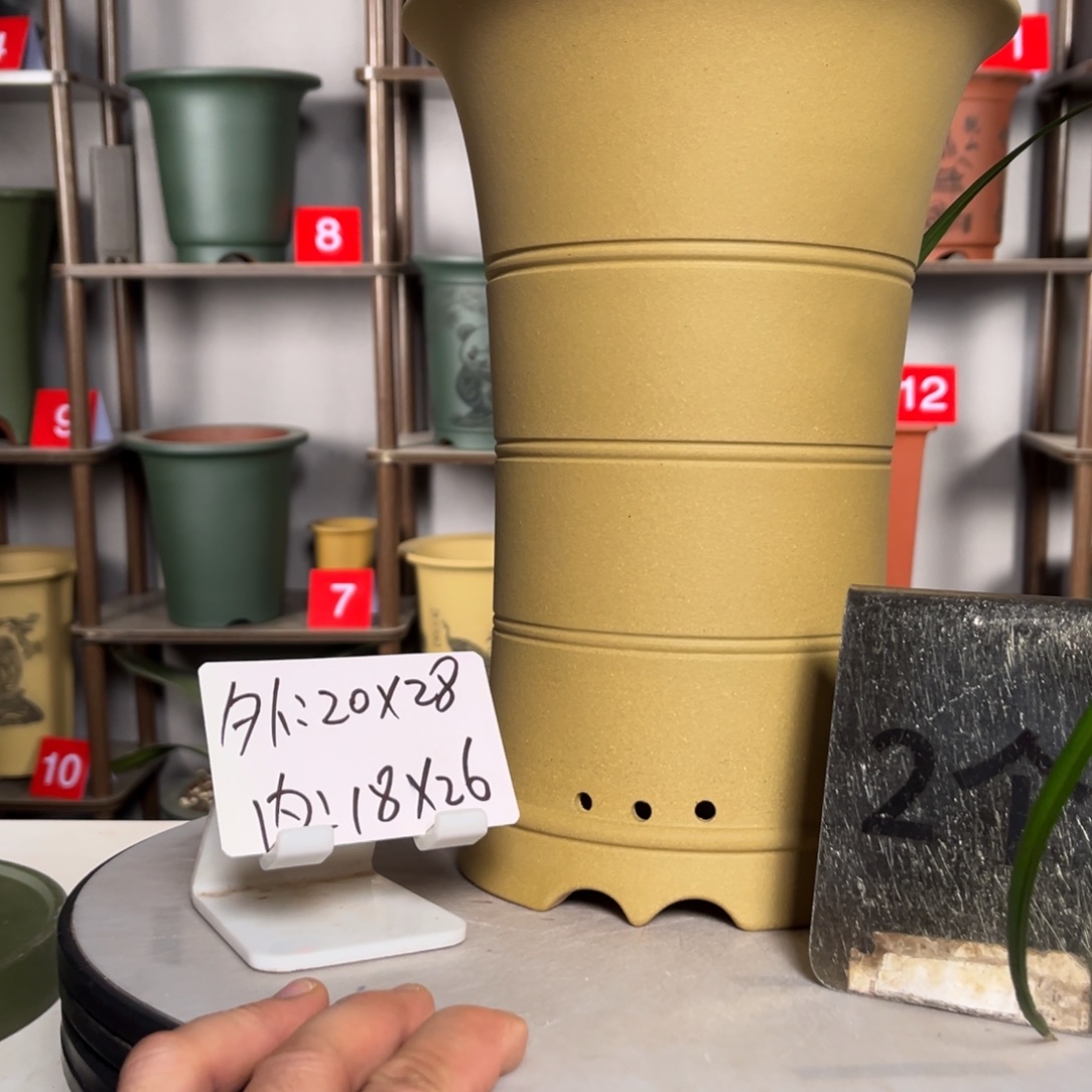 花盆紫砂紫砂花盆