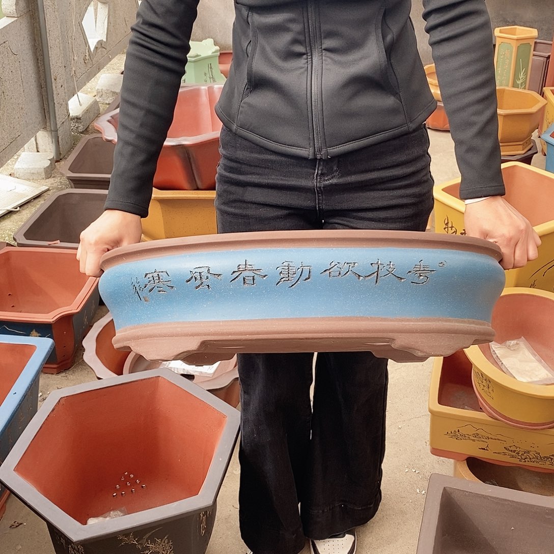 花盆紫砂紫砂花盆