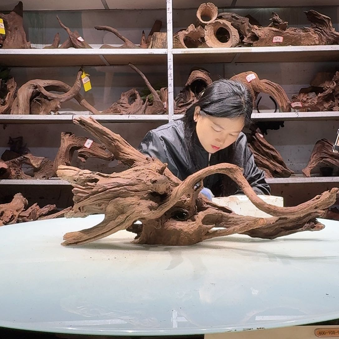 紫砂紫柚镂空不包损a*伯3919