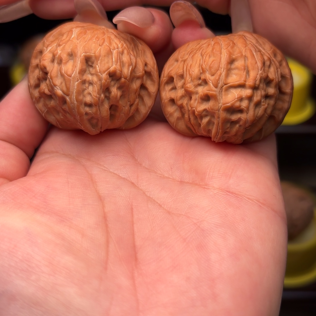 41 全品无修 蝴蝶磨边肚同尺