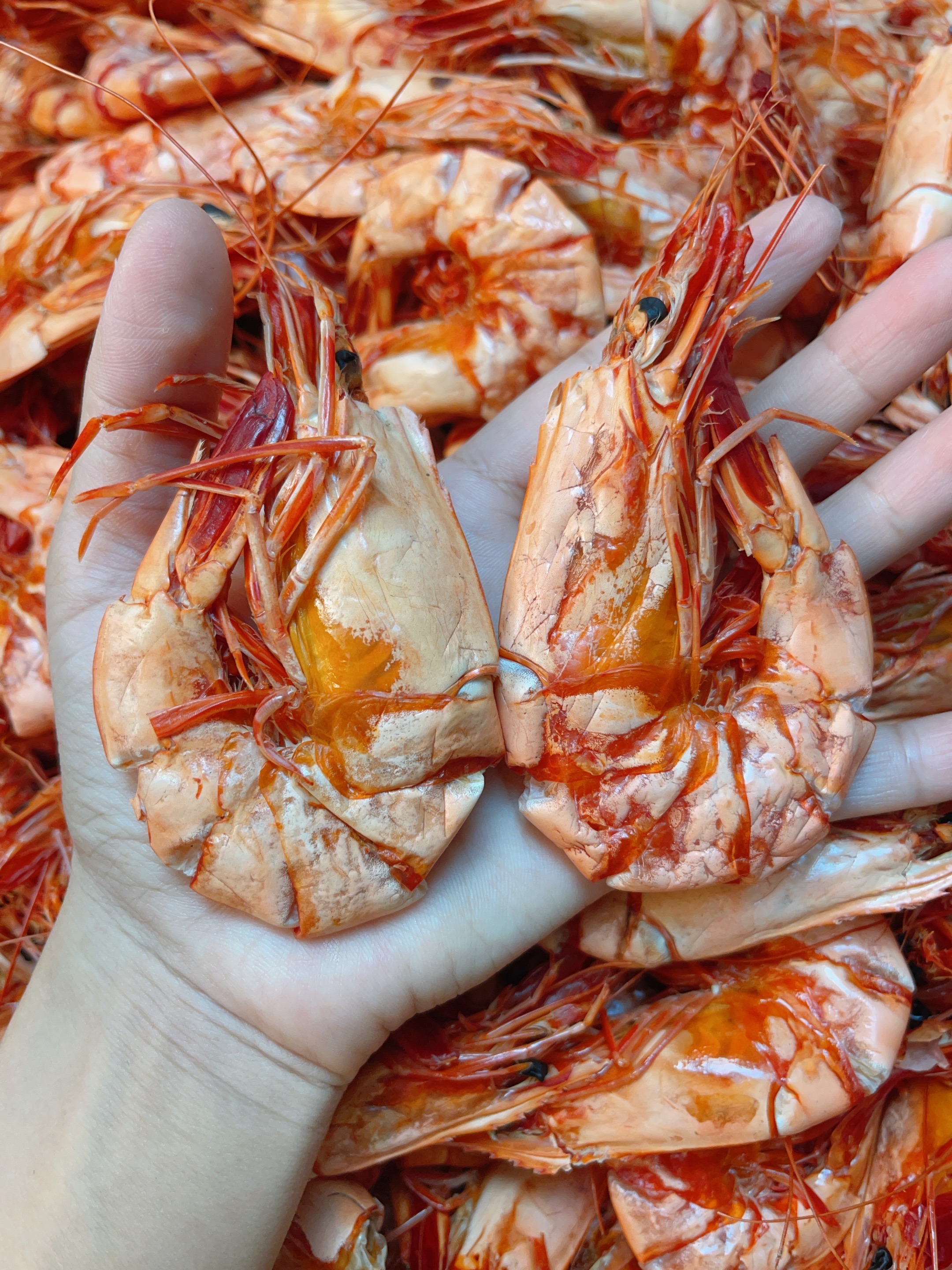 新晒大号黑虎虾 九节虾咸水虾 即食煲粥煲汤250-500/克包