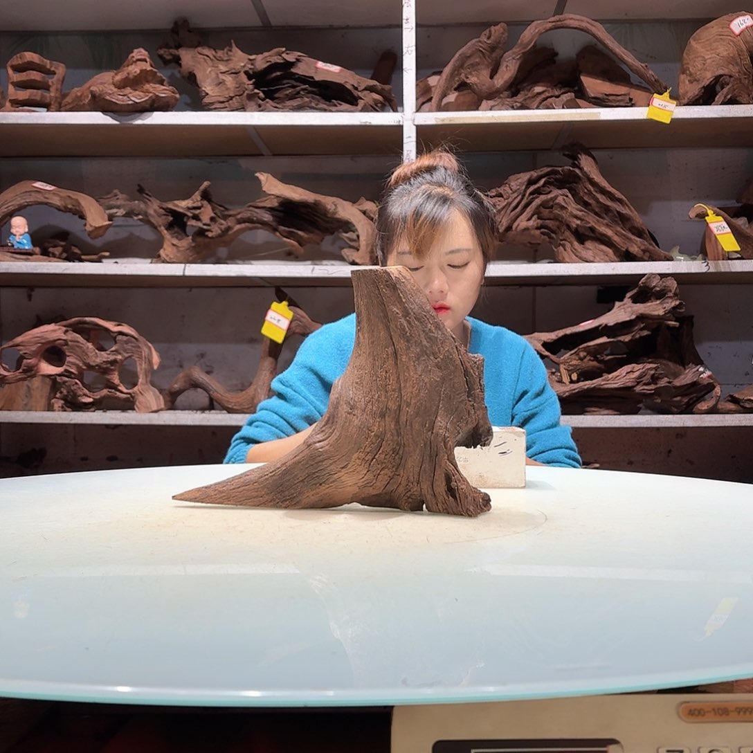 倍褚沉木不包损必褪色小*睿5825