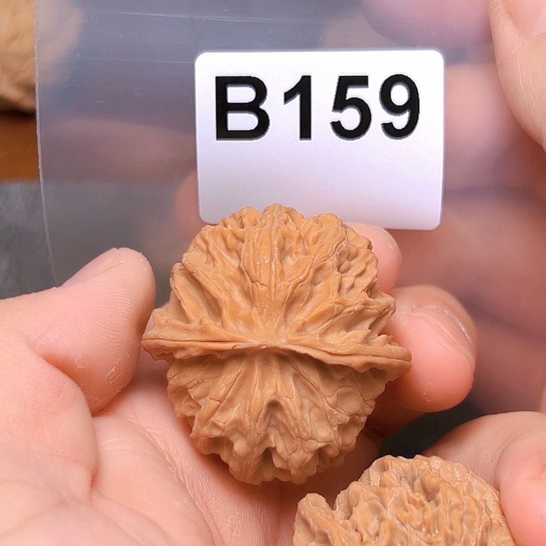 文玩核桃吊坠40苹果园